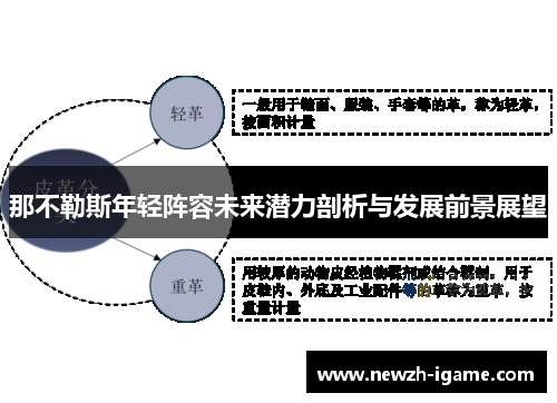 那不勒斯年轻阵容未来潜力剖析与发展前景展望