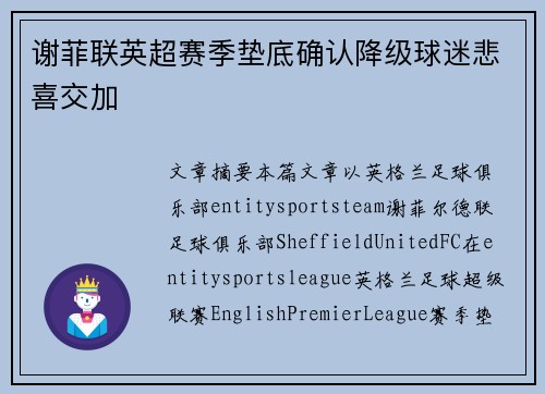 谢菲联英超赛季垫底确认降级球迷悲喜交加